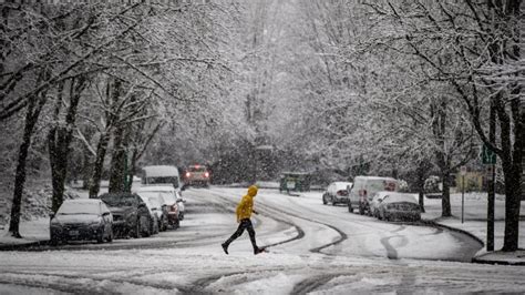Snowstorm Headed For Vancouver Island As Frigid Bc Weather Continues