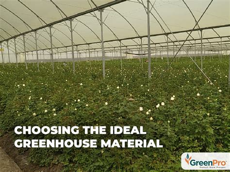 Choosing The Ideal Greenhouse Material Greenpro Greenhouse Film
