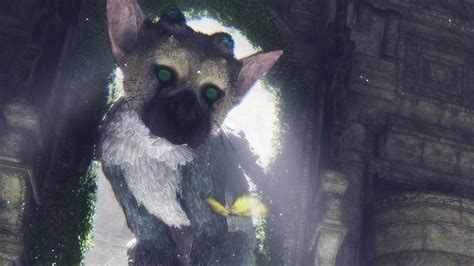 The Last Guardian Trico Is Absolutely Adorable Ign Plays Live