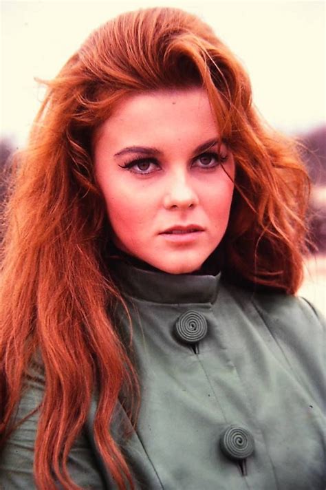She has appeared in numerous cinema which gives her a lot of awards; Ann-Margret, | Ann margret, Ann margret photos, Anne