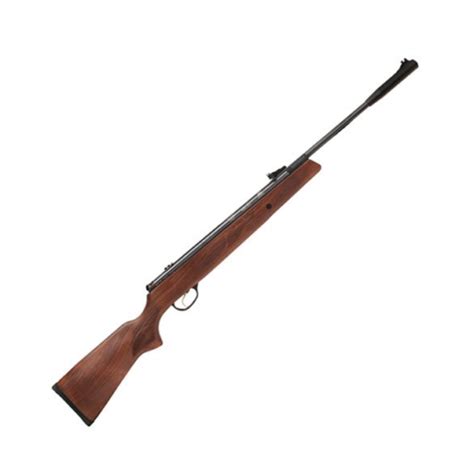 10 Best 22 Air Rifles Outdoor Moran