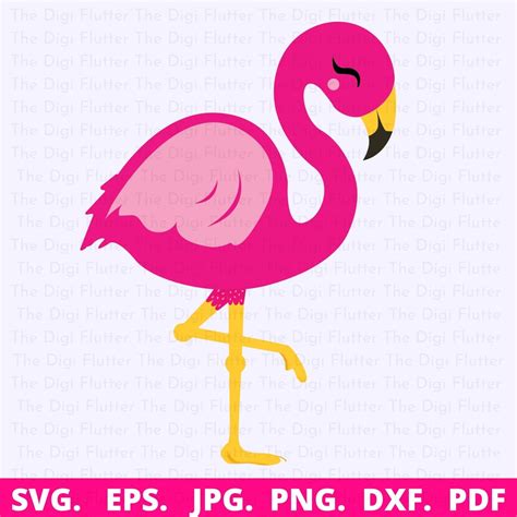 Flamingo Svg Flamingo Clipart Flamingo Cricut Pink Flamingo Etsy
