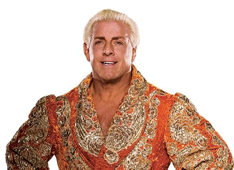 Ric Flair Woo Png 10 Free Cliparts Download Images On Clipground 2022