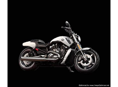 2014 Harley Davidson Vrscf V Rod Muscle White For Sale On 2040motos