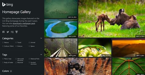 Bing Homepage Gallery Unusual Animals Endangered
