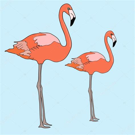 Illustration With Two Flamingos — Stock Vector © Vareennik 112440018