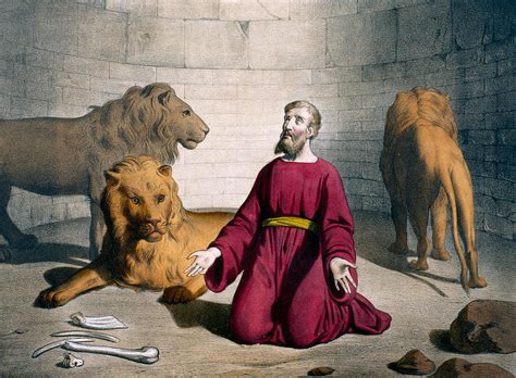 Daniel In The Lions Den Drawing By Bequet