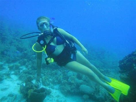 Pin By Dre On Underwater Freedom Scuba Diver Girls Scuba Diving