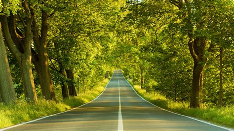 Download Long Forest Road Wallpaper Hd Screen By Bpark84 Long