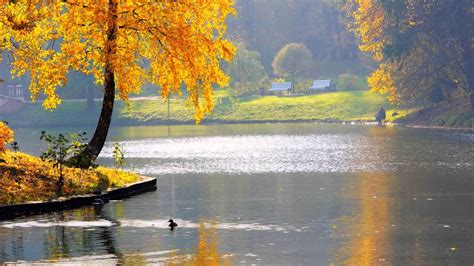 Осенние пейзажи картинки. Яркие осенние картинки и фотографии - природа осенью, осенние пейзажи