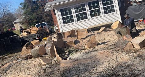 Jr Gallegos Landscaping Updated May 2024 71 Photos Louisville