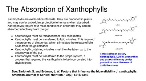 Absorption Of Xanthophylls