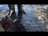 Photos of Santa Barbara Oil Spill