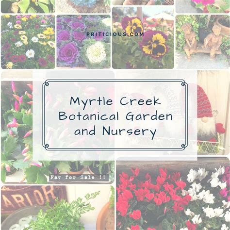 Visit To Myrtle Creek Botanical Garden And Nursery Myrtle Creek