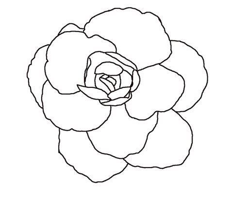 Browse and download the most beautiful flower pictures. Free Line Drawing Of A Flower, Download Free Clip Art ...