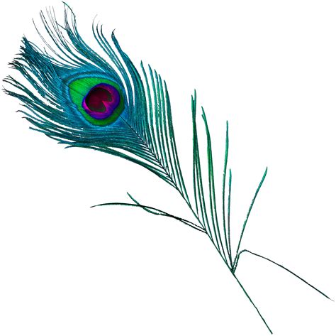 Feather Peafowl - Beautiful peacock feathers png download - 2681*2680 png image