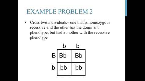 Punnett square practice problems (simple) - YouTube