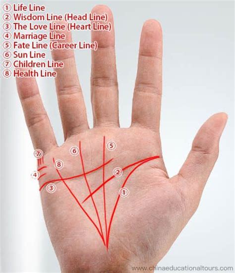 How Chinese Palmistry Works Palm Lines Meaning Palm Reading Guide In