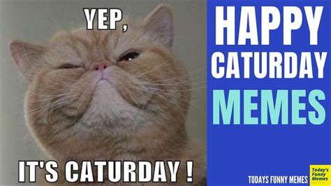 Todays Funny Memes Happy Caturday Caturday Meme Youtube