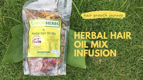 Ayurvedic Herbs For Hair Growth Food Herbs Herbal Hair Oil Mix 1 Infusion Youtube