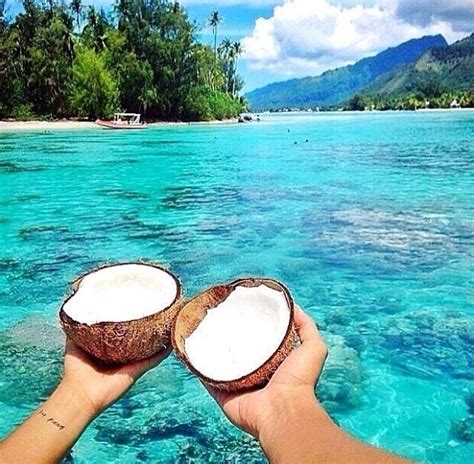 Natalia and keiran are marking their summer calendars days off. by: natalie ♡ 24ARIANATOR24 | Beach, Summer vibes, Beach ...