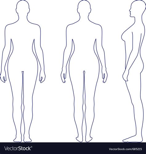 Naked Standing Woman Royalty Free Vector Image