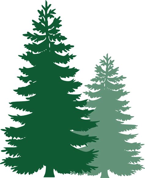 Download Pine Trees Spruce Trees Evergreen Trees Royalty Free Vector