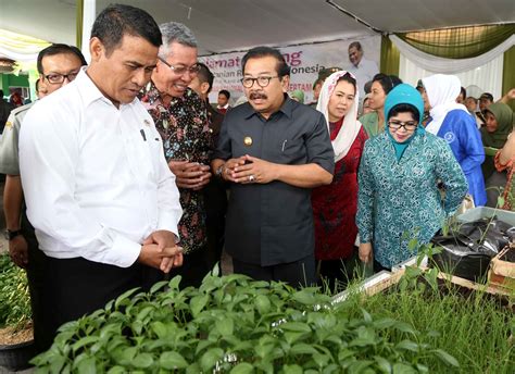 Kementerian pertanian republik indonesia dipimpin oleh seorang menteri pertanian. Ciptakan Ketahanan Pangan Melalui Kemandirian Pangan ...