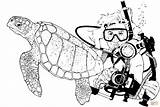 Scuba Diver Coloring Turtle Sea Turtles Drawing Navy Printable Seal Diving Sketch Template Clipart sketch template