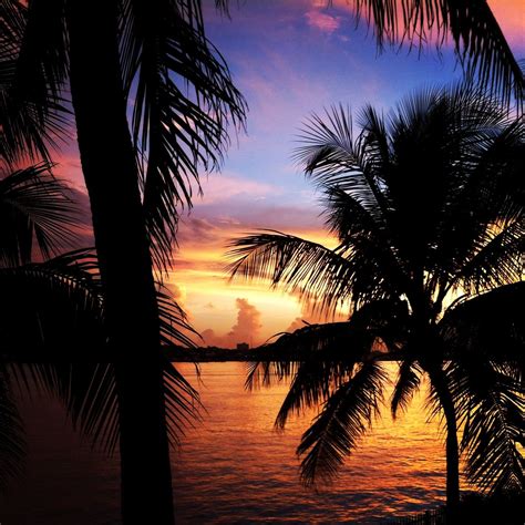 Paradise Island | Tree sunset wallpaper, Adventure travel explore, Palm ...