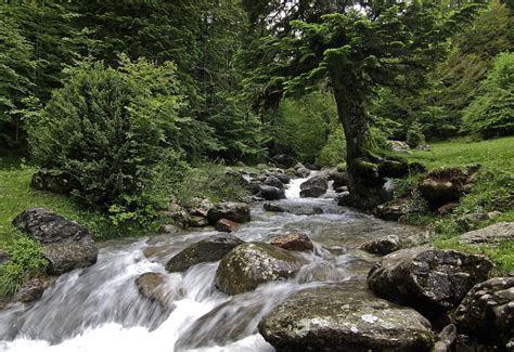 Forest River Rocks Landscape Waterfall Wallpaper 4312x2958 281733