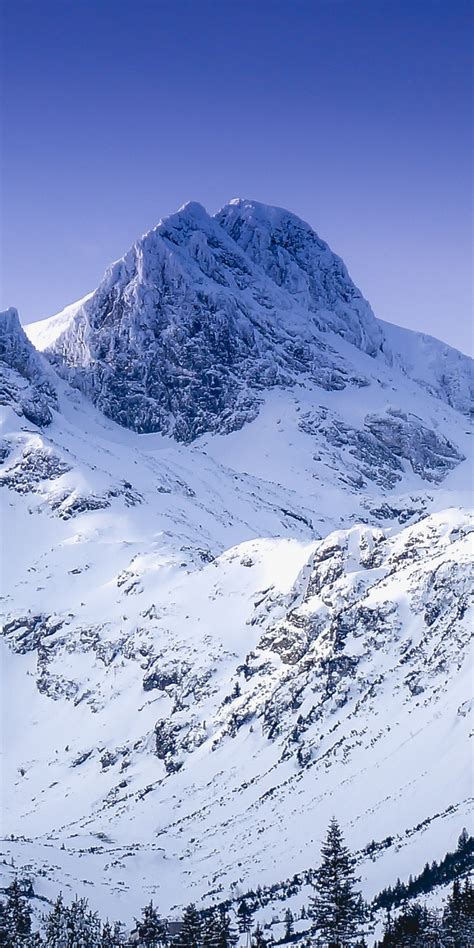 Download 1080x2160 Wallpaper Winter Glacier Mountain Nature Honor