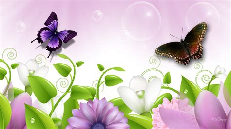 Lavender Flower Summer Hd Desktop Wallpaper Widescreen High