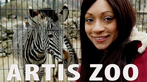 Artis Zoo Amsterdam Youtube