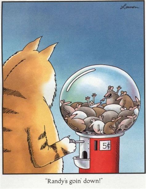 The 13 Best Far Side Comics For Cat Lovers Cats On Catnip Gary