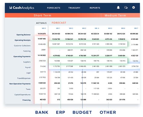 Cash Reporting Platforms An Essential Piece Of Treasury Software