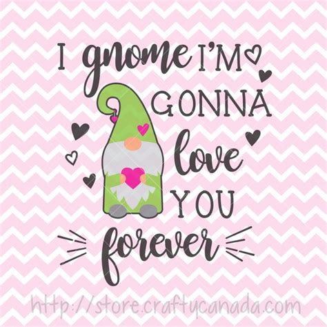 I Gnome I M Gonna Love You Forever Svg And Png Gnome Svg Etsy