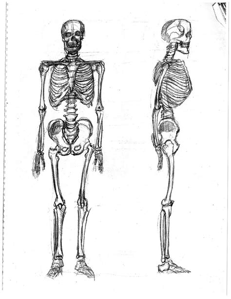Похожие запросы для anatomical drawing of human body. 15 minutes to midnight: The official blog of comic book illustrator Scott Larson.: LIFE DRAWING ...