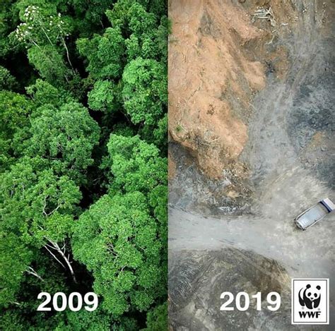 10 Year Challenge Come è Cambiato Il Nostro Pianeta In Pochissimi Anni