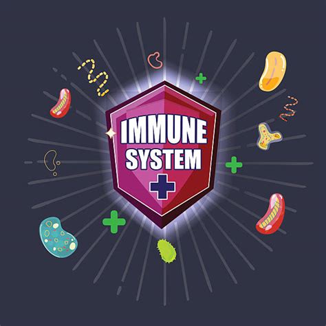 Royalty Free Immune System Clip Art Vector Images And Illustrations Istock