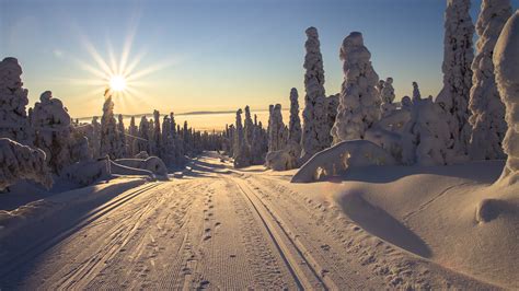 Photos Rays Of Light Lapland Region Finland Sun Winter 2560x1440