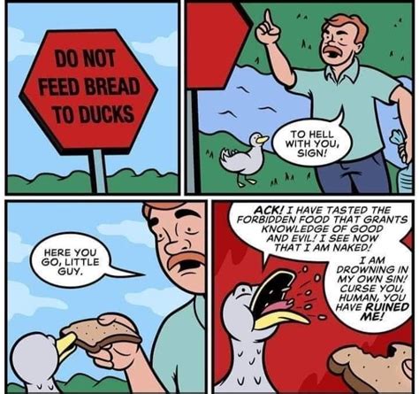 Do Not Feed Bread To Ducks Memes Imgflip