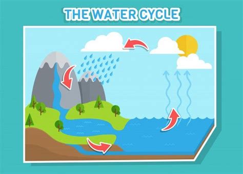 Water Cycle Diagram Shows The Water Cycle From Water Droplets To