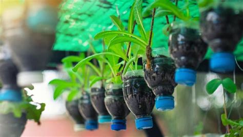 5 Ide Kerajinan Tangan dari Botol Plastik Bekas, Bisa Bunda Buat di Rumah