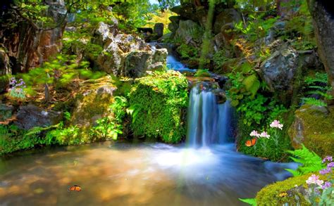Animated Wallpapers - Mobile screensavers | Pic Gallery