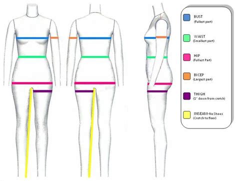 Female Model Measurements Chart