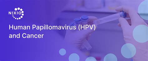 Human Papillomavirus Hpv And Cancer N1x10