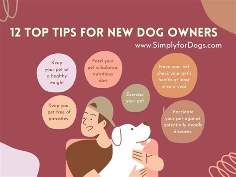 12 Top Tips For New Dog Owners Start With Experience Simply For Dogs