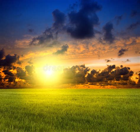 Grass Sky And Sun Stock Photo Image Of Color Field 18820878