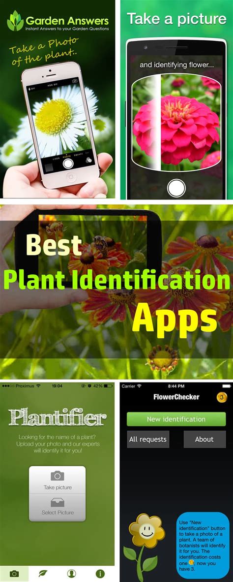 What does app identify plants? Best Plant Identification Apps | Balcony Garden Web